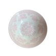画像1: 【サンプル：バックスタンプ無】ピンクアジアンティックフェザンツ　シリアルボウル　16cm　アウトット (1)