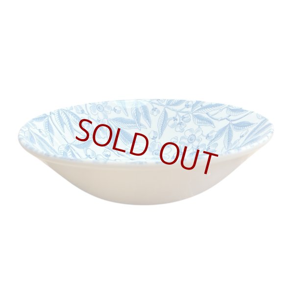 画像1: ブループルナス シリアルボウル 16cm  (1)